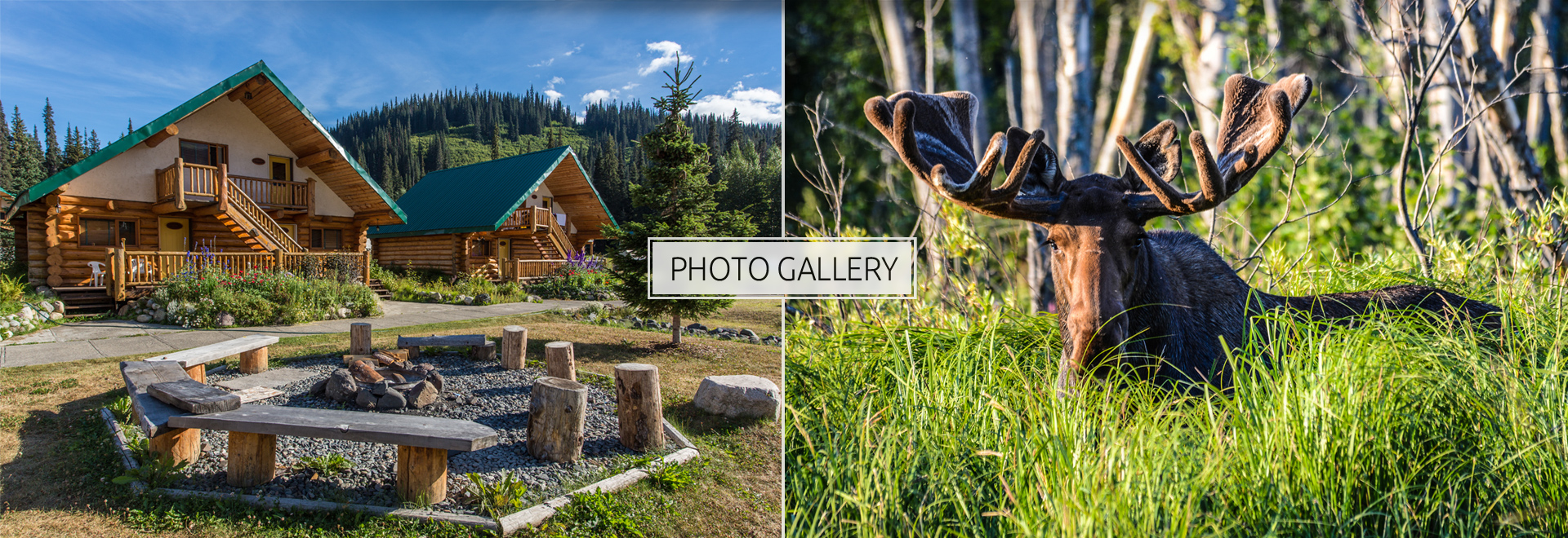 photo gallery home menu. Photos - Ron Ledoux